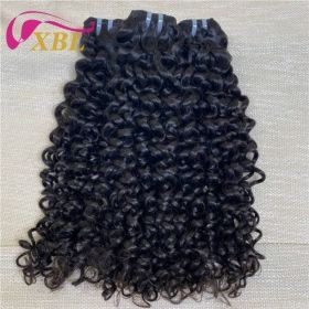 Single Donor Raw Indian Unprocessed Hair Vendors (Option: Jerry Curl-16Inches)